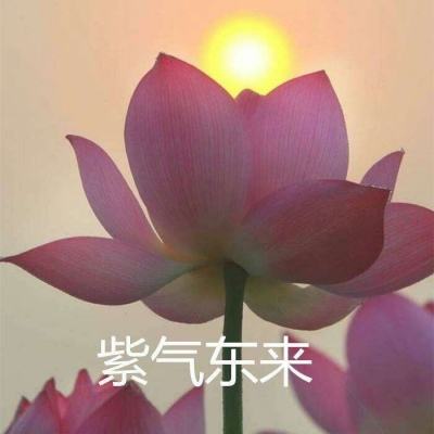 仙恋九歌红包版下载